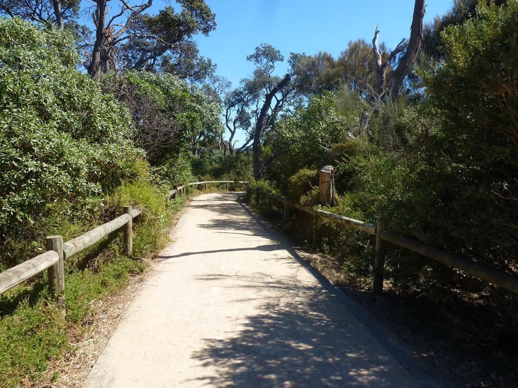 Dromana Beach Getaway Oda fotoğraf